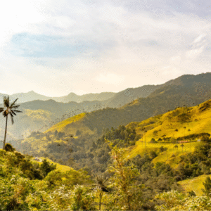 Tres destinos: Valle del cocora + salento + filandia
